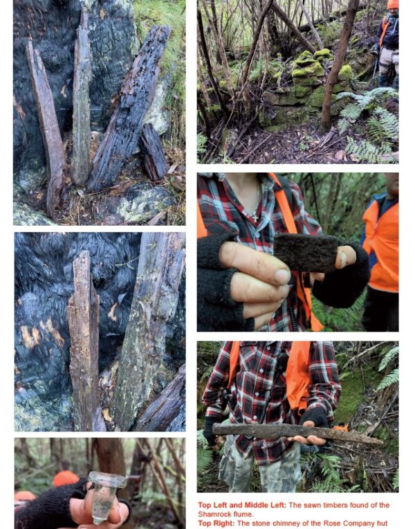 Scrat-a-Bit and Shamrock Mines of Walhalla (Book #7 in series)