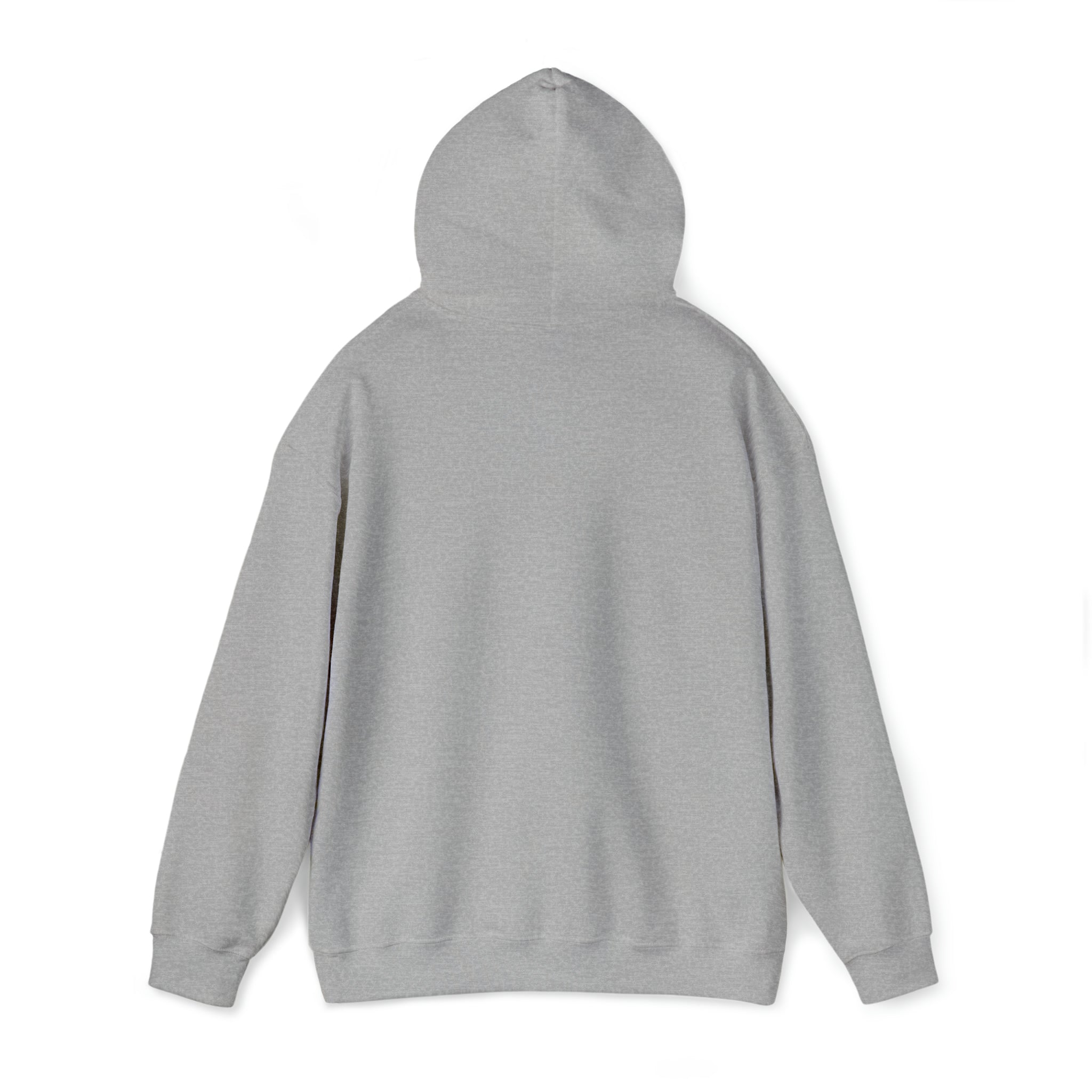 Unisex Heavy Blend™ Hooded Sweatshirt | Printify