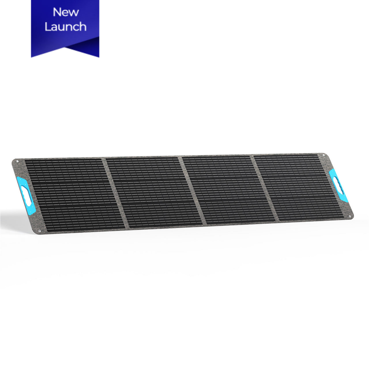 Renogy 200W Portable Solar Panel
