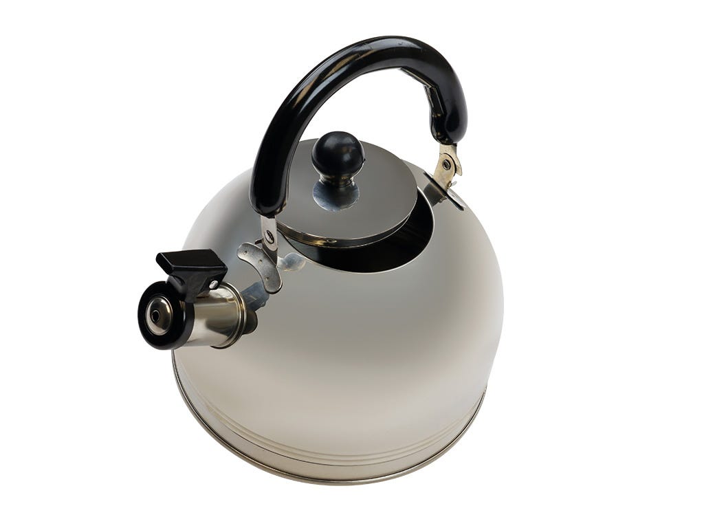 Whistling Kettle (2.5l) / Stainless Steel Metallic Finish | Leisure Quip