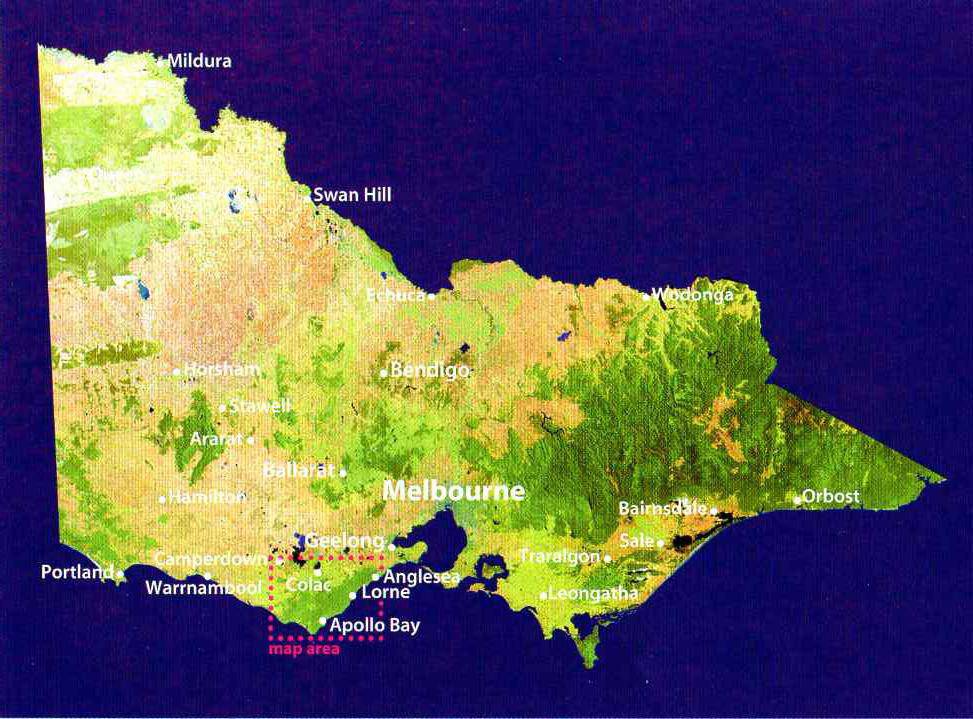 Meridian Wombat State Forest 4WD Map | Meridian